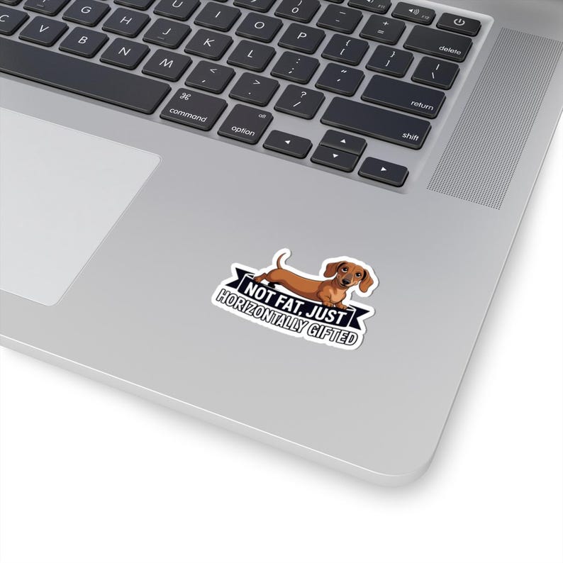 Dachshund "Not Fat Just Horizontally Gifted" Sticker | Wiener Dog Humor image 5
