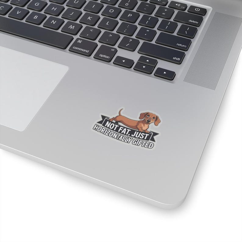 Dachshund "Not Fat Just Horizontally Gifted" Sticker | Wiener Dog Humor image 2