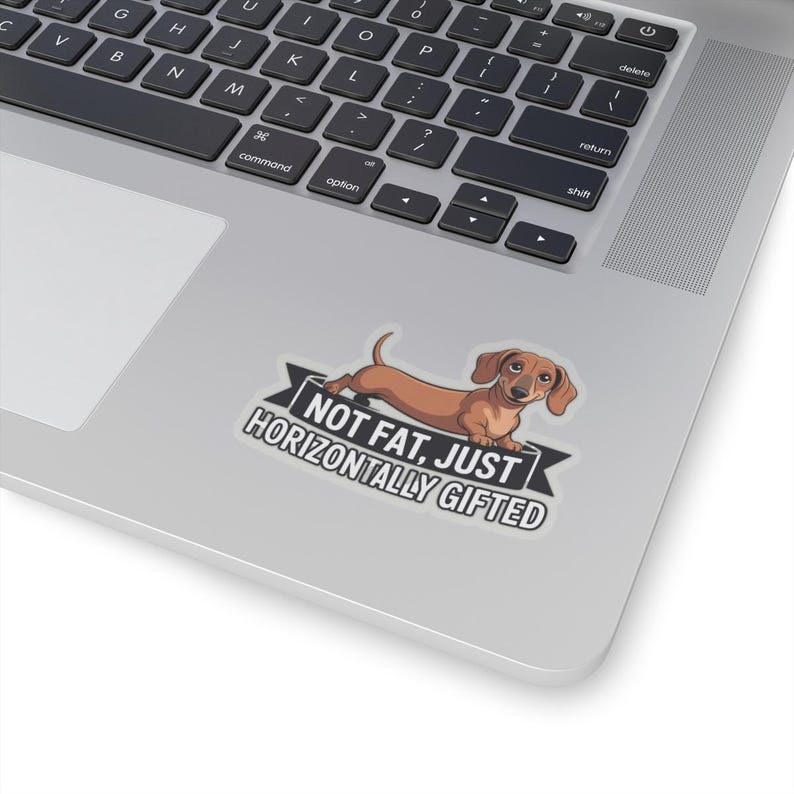 Dachshund "Not Fat Just Horizontally Gifted" Sticker | Wiener Dog Humor image 8