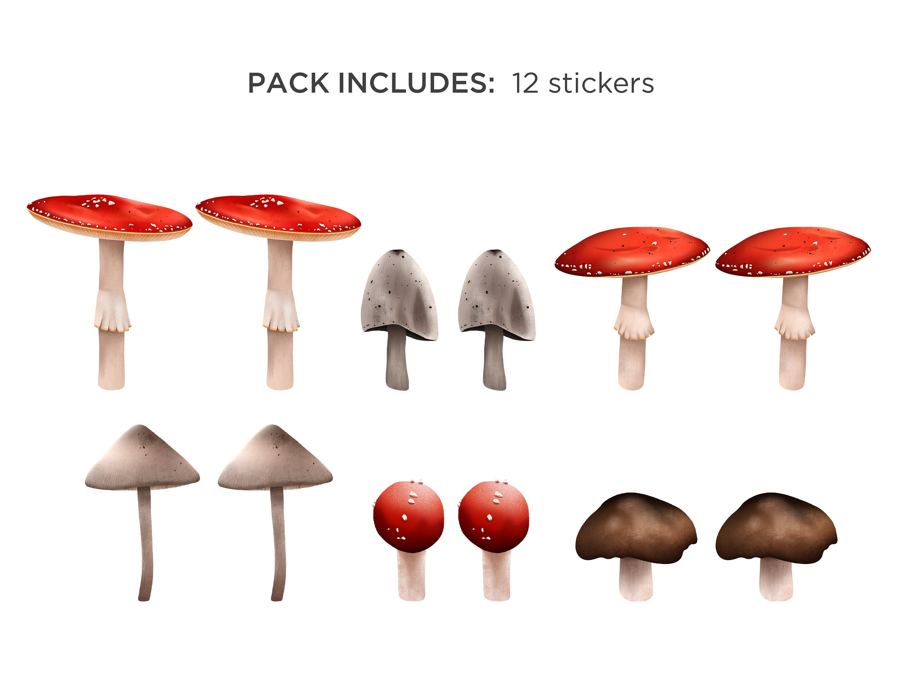 mushroom-sticker-pack-12pc-mushroom-stickers-fungi-etsy