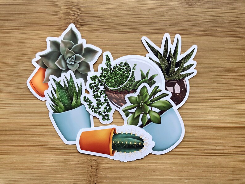 Plant Sticker Pack 12pc / Plant Stickers / Succulent Stickers Etsy