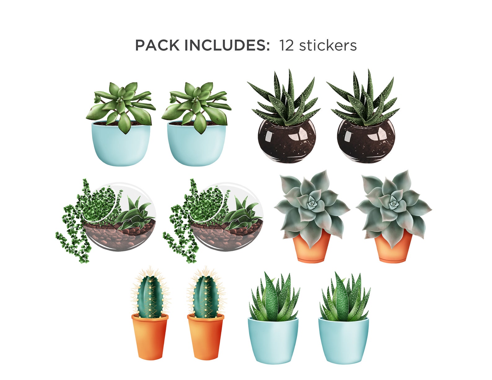 Plant Sticker Pack 12pc / Plant Stickers / Succulent Stickers Etsy