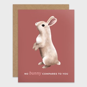 Funny Bunny Pun Card: Friendship, Love, Anniversary