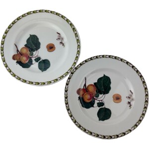 May include: Two round white ceramic plates featuring a botanical illustration of orange apricots with dark green leaves on a branch. The rim of each plate is decorated with a repeating green and white leaf pattern encircling the entire edge.