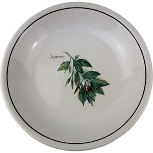 Vintage Williams Sonoma Pasta Bowls - Etsy