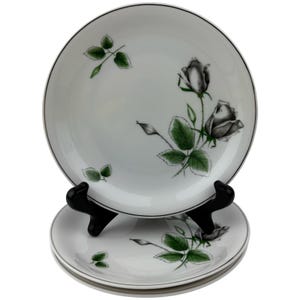 Può includere: Set di piatti in ceramica bianca con bordo nero e design floreale di rose. Le rose sono grigie con foglie e steli verdi. I piatti sono impilati su un supporto nero.