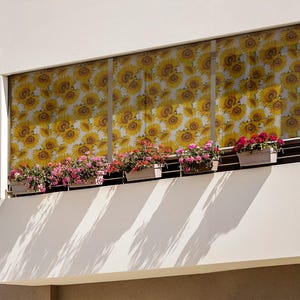 May include: A white building with a balcony featuring a window covered in a sunflower patterned film.  The balcony has several potted plants with pink and red flowers.