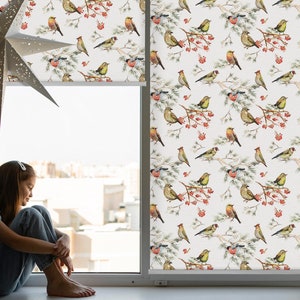 以下が含まれることがあります： カラフルな鳥と赤いベリーが繰り返し描かれた白い窓のブラインド。ブラインドは部分的に巻き上げられており、窓の外の建物の景色を眺めることができます。若い人が窓際に座っています。