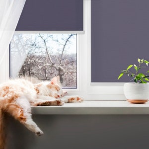 Roller Blinds, Light Diffusing or Darkening, Blackout, Dark Violet ...