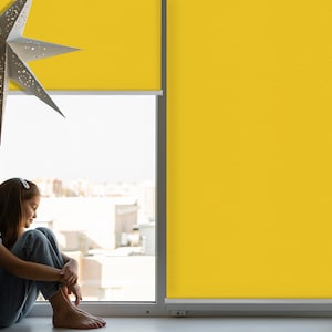 Roller Blinds, Light Diffusing or Darkening, Blackout,  Bright orange, Solid Color, Colors, Kitchen Window Blinds, Unique Window Dressings