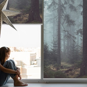 Puede incluir: Una persona joven se sienta junto a una ventana con vista a una ciudad. La ventana está cubierta con una persiana enrollable que presenta una escena de bosque brumoso.