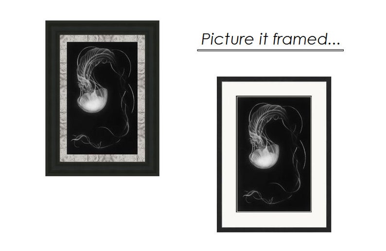 Jellyfish Art Print Jellyfish Art Prints /& Posters Sea Creature White Charcoal Drawing Ocean Art Decorative Wall Art for Your Home