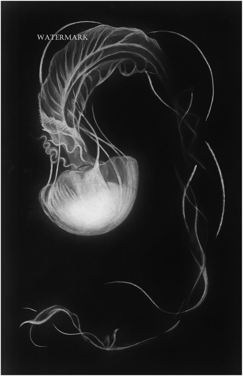 Jellyfish Art Print Jellyfish Art Prints /& Posters Sea Creature White Charcoal Drawing Ocean Art Decorative Wall Art for Your Home