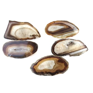 May include: Five agate slices in various shapes and sizes. The agate is brown, white, and beige with a natural, polished finish.