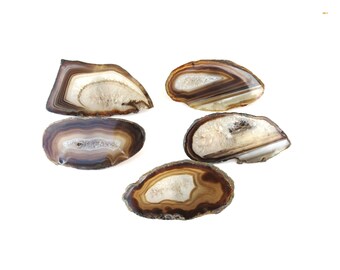 Brown Agate Knob - Natural Stone - Home Decor