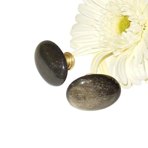 May include: Two oval-shaped cabinet knobs with a dark, speckled appearance and brass hardware. One knob is attached, the other is loose. A white flower with a yellow center is in the background.