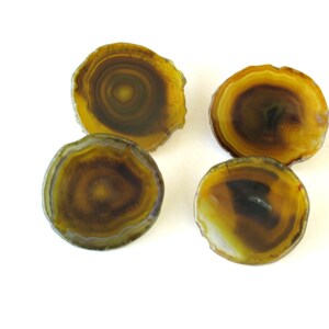 May include: Four agate coasters in shades of brown and yellow. The coasters are round and have a natural, polished finish.