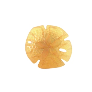Desert Gold Sea Glass Knob - Sand Dollar - Beach Decor