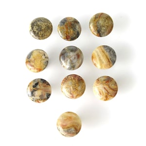 Crazy Lace Agate Stone Knob