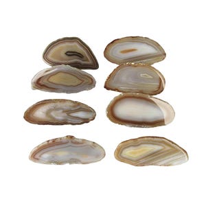 May include: Eight polished agate slices, showcasing natural patterns of brown, tan, and white. The slices vary in shape and size, with concentric bands and unique formations. These decorative stones are ideal for crafting or display.