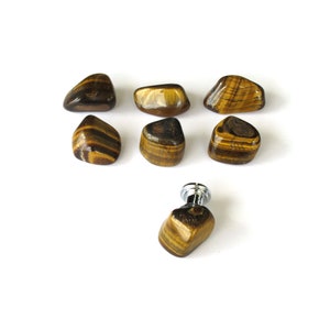 May include: Seven smooth, brown and gold tiger's eye stones with a silver knob in the center.