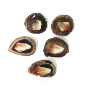 May include: Five polished agate slices with a dark brown outer ring and a lighter brown and white interior. Each slice contains a rough, light-colored crystal formation in the center. The stones are displayed on a white background.