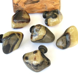 One (1) Large Knob - Septarian Stone Knob - Polished Free Form Stones