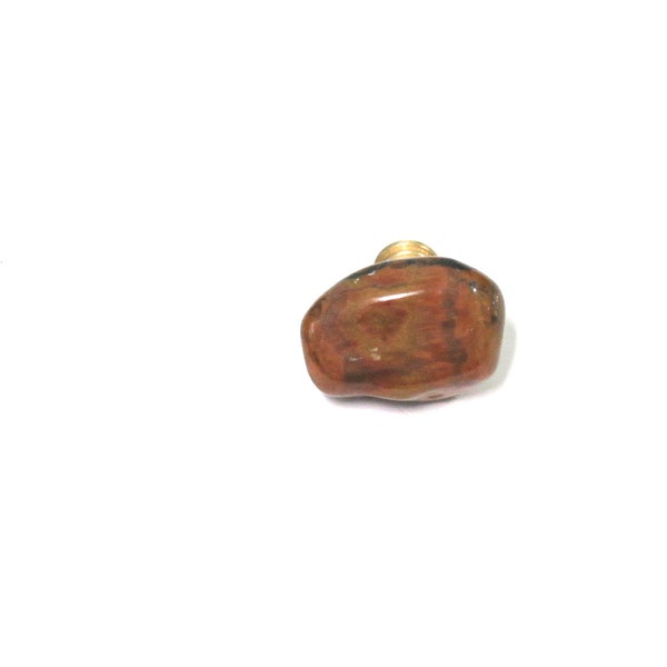 One (1) Large - Petrified Wood Stone Knob - Polished Free Form Stones - Natural Home Décor