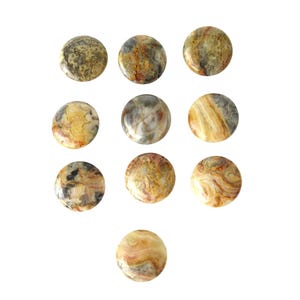 Crazy Lace Agate Stone Knob