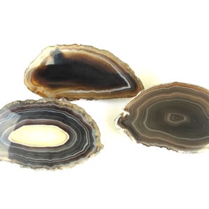 May include: Three agate slices with brown, white, and black banding. The agate slices are smooth and polished.