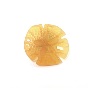 One (1) or Sets of (4) - (8) - (12) - (24) Knobs - Desert Gold Cultured Sea Glass Knob - Sand Dollar Knob - Beach Décor