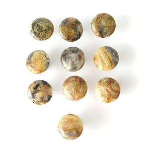 Crazy Lace Agate Stone Knob - Round Stone - 1.2-inches Diameter