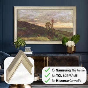 Champagne Mount for Samsung Frame, Hisense CanvasTV Silver Leaf Bezel, Handmade Frame for TCL NXTFrame Tv, Sizes 32 43 50 55 65 75 85 inch