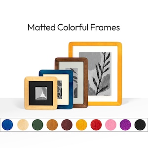 May include: Four square and rectangular matted frames in light wood, blue, brown, and yellow, displaying black and white botanical art. Below, a horizontal row of eleven circular color swatches in blue, beige, green, brown, maroon, yellow, red, pink, purple, and black.
