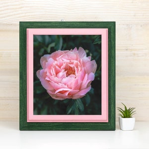 Handmade Green & Pink Picture Frame: Baltic Birch Wood Gallery Wall Decor