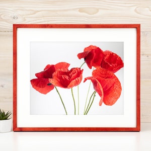 Red Super Thin Edge Picture Frame, Handmade Minimalistic Design Custom Photo Frame, Modern Look Valentine Decor, Choose Matboard Color A2 A1
