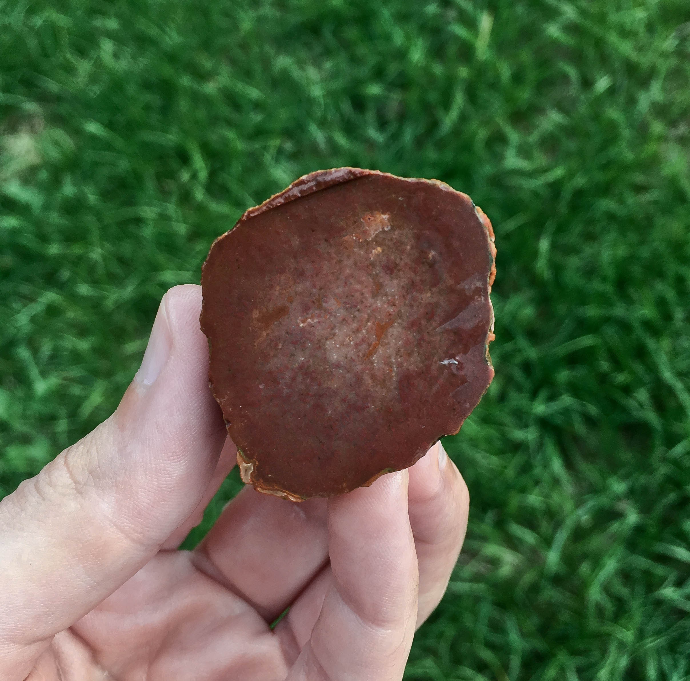 Beautiful MINI Kentucky Moss Agate Sliced Nodule with RED | Etsy