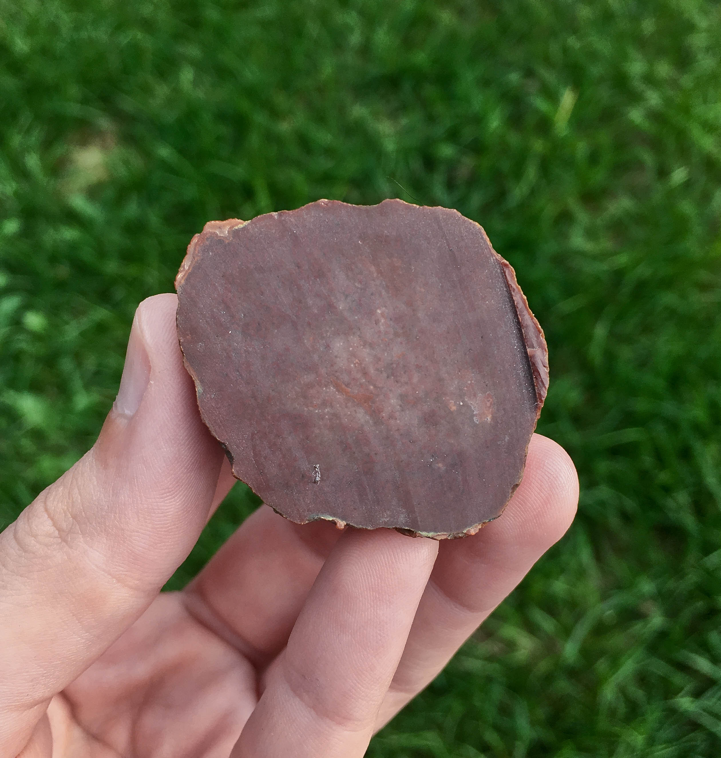 Beautiful MINI Kentucky Moss Agate Sliced Nodule with RED | Etsy