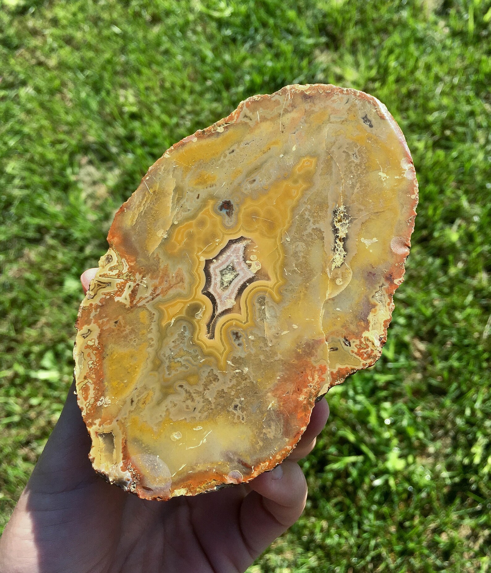 5 INCH Beautiful Kentucky Agate Sliced Nodule Yellow Red Etsy
