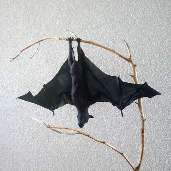 Needle felted fruit bat/black bat