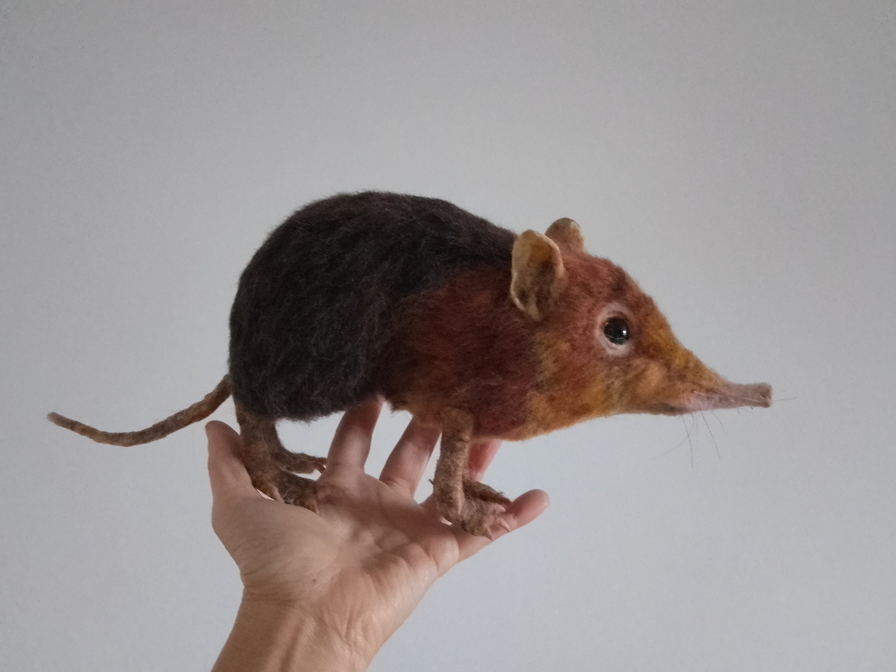 Elephant shrew plush sale