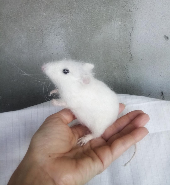 Raton Blanco Raton Blanco Hiperrealista Fieltro De Raton Etsy