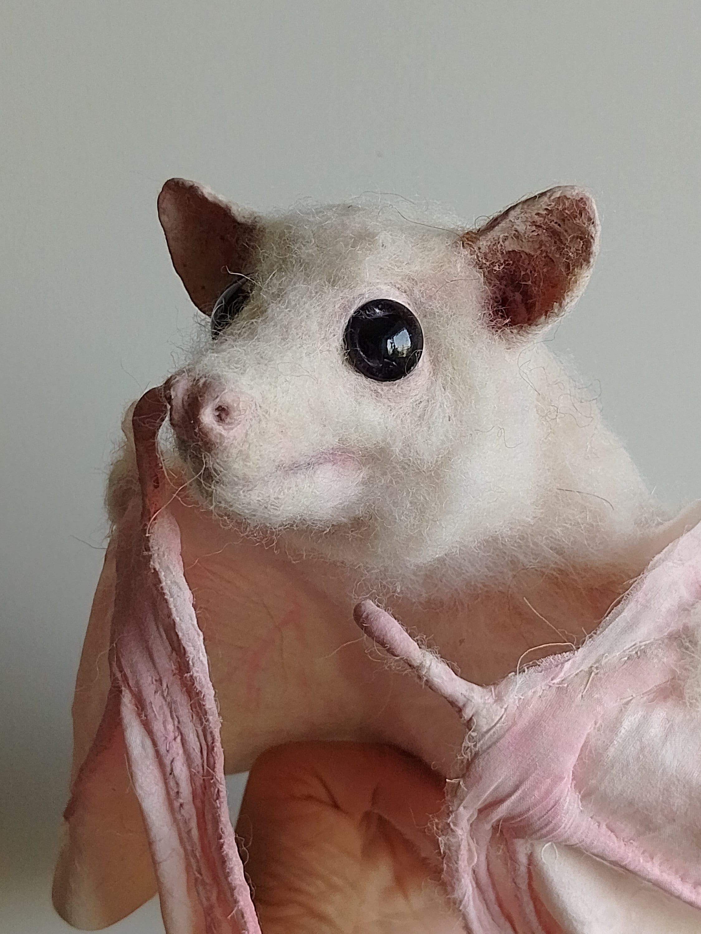Collectible White Bat, Haunted Mansion Decor - Etsy