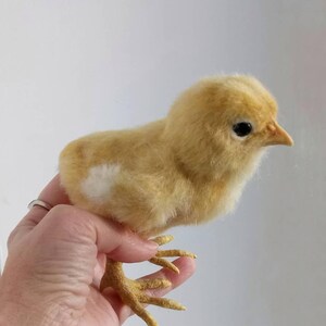 Needle felted spring chick
