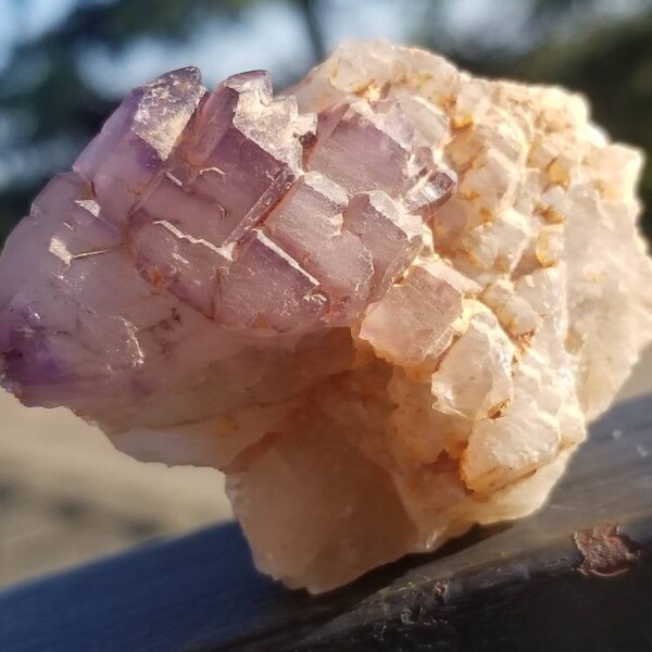 Large Rare Elestial Skeletal Terminated Amethyst Crystal