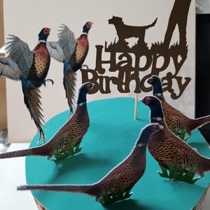 May include: A teal cake with a brown silhouette of a hunter and a dog, with the words "Happy Birthday" on top.  The cake is decorated with several brown and white pheasant figurines.