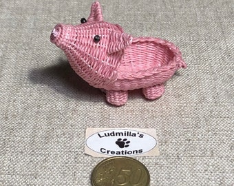 Little pig