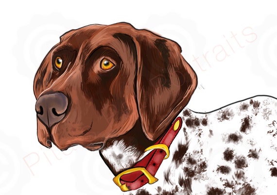 German Shorthaired Pointer Art Etsy