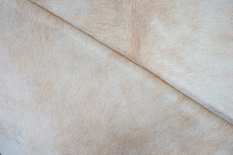 Extra Large brindle style exotic Cowhide rug 7 X 6.7ft 3876