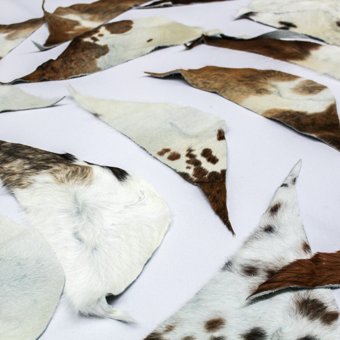 Hair on Cow Hide Scrap Leather Hide Remnants 20 Pcs. Etsy